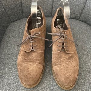 Shelly London Women's Taupe Suede Wingtip Oxford Shoes Size 10